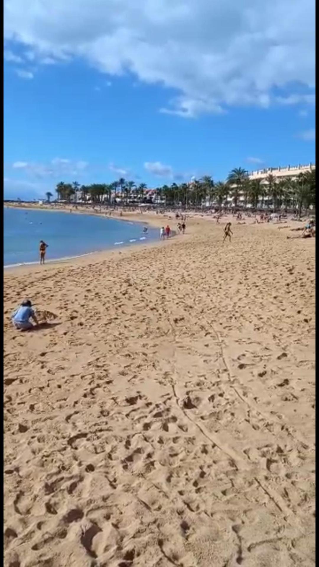 Chill Out Tenerife Sud - Monolocale Con Piscina Riscaldata Costa Del Silencio Exteriér fotografie